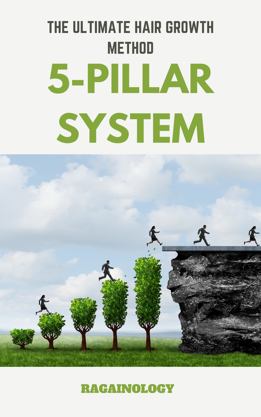 Regainology™ - The 5 PILLAR System.